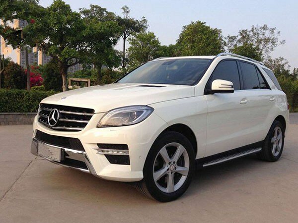 高檔商務用車 (1)